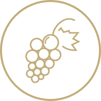vino.png